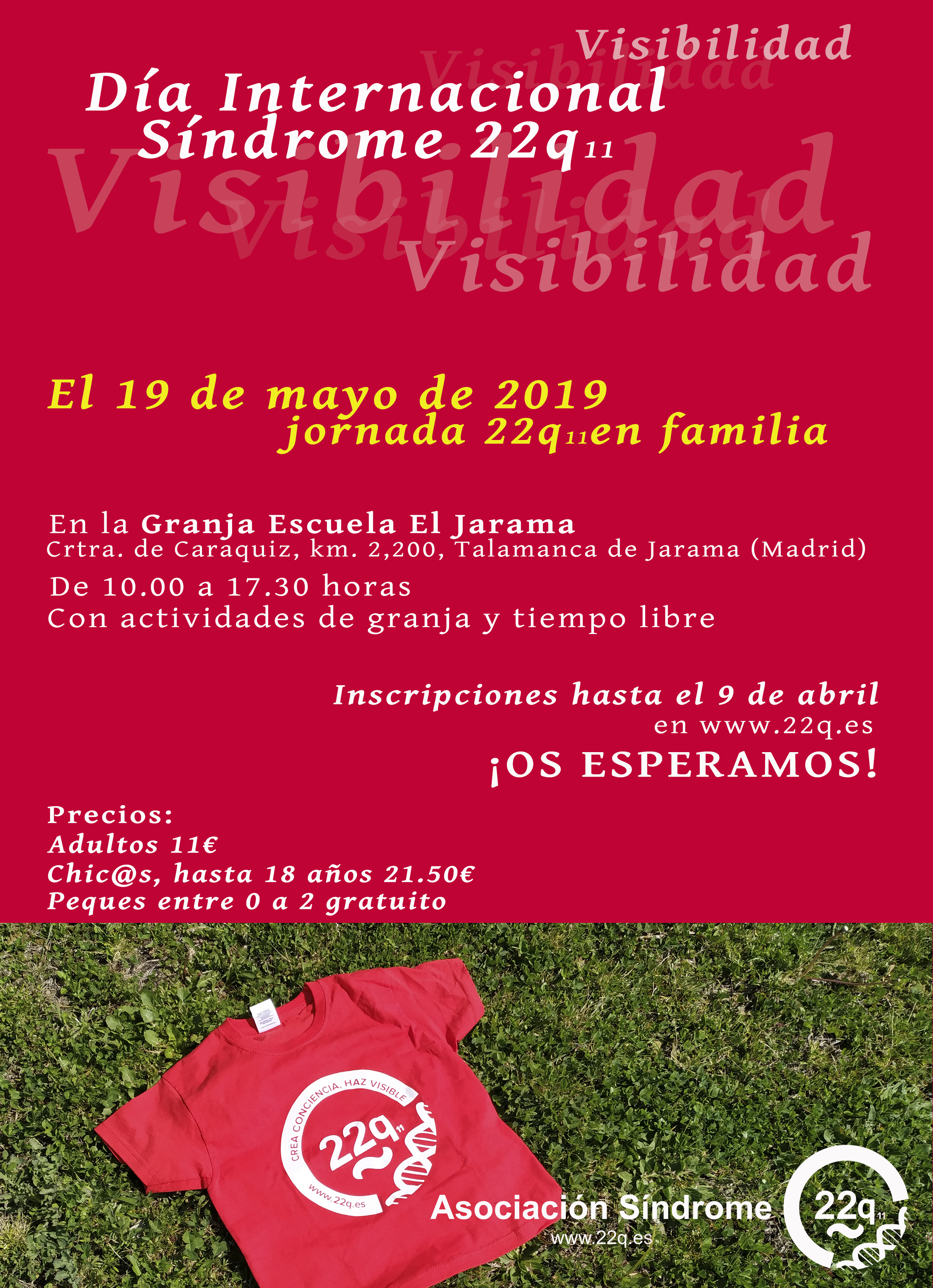 Cartel Día Internacional de Sensibilización/Visibilización 22q 2019